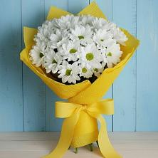 Букет цветов из:  Хризантемы в Степном Ставропольский край