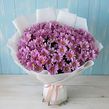 Букет цветов из:  Хризантемы в Степном Ставропольский край