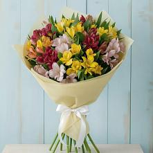 Букет цветов из:  Альстромерии в Степном Ставропольский край