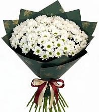 Букет цветов из:  Хризантемы в Степном Ставропольский край