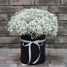 Цветочная композиция из Гипсофила в шляпной коробке в Степном Ставропольский край