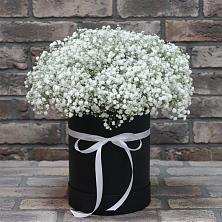 Цветочная композиция из Гипсофила в шляпной коробке в Степном Ставропольский край
