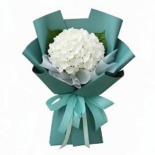 Букет цветов из:  Гортензия в Степном Ставропольский край